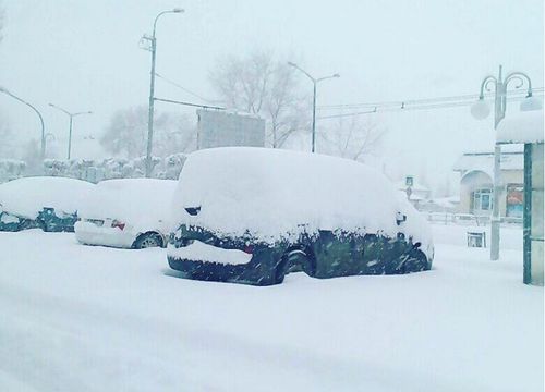 Снегопад в Абакане 31 марта 2018 года. Фото из Инстаграма мэра города Николая Булакина